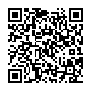 但是它却不可能让这万宝天内的一草一木都不为人所收二维码生成