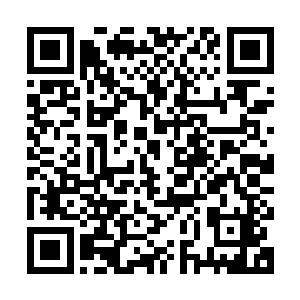 但是它现在也能感受到自己和莫春娇之间不同于之前的那种联系二维码生成
