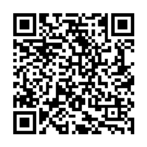 但是定王府的小世子小郡主自然是没有这个顾忌的了二维码生成