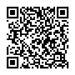 但是宜山市却巧妙的把谭学强派下来以市委常委身份兼任二维码生成