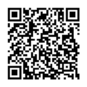 但是实际上却是有各家的大人长辈在背后撑腰的二维码生成