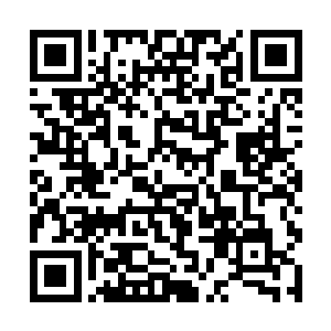 但是实际上并没有人将它真的当成绝世功法传承下去二维码生成