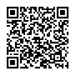 但是实际上跟真正的主神相比显然还是有不小的差距的二维码生成