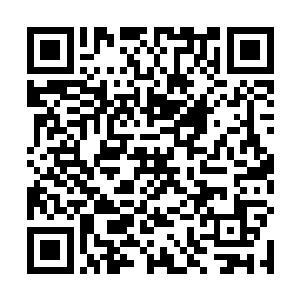 但是对于会遁地术的江帆和纳甲土尸来说简直如同虚设二维码生成