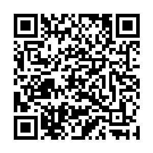 但是对于制造自己出来的崔博士却还是抱有胆怯之意的二维码生成