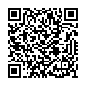 但是对于古武世家的调查白子河也是有去做过的二维码生成