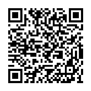 但是对于林烽身上强大的灵气它是十分有好感的二维码生成