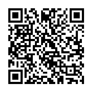 但是对于洛水嫣还有苏媛媛还是苏凡心头的一个石头二维码生成