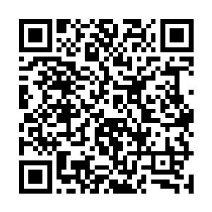 但是对于流墨墨和雪如楼是来自未来依旧无法接受~二维码生成