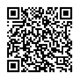 但是对于现在药房药材空虚的凌菲来说绝对是及时雨二维码生成