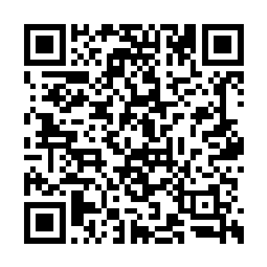 但是对于白家来说依旧不是那么的放在心上面了二维码生成