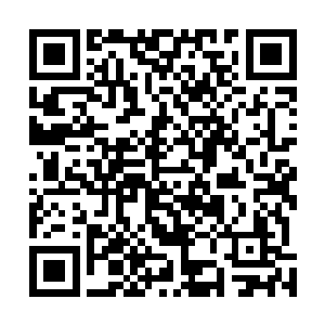 但是对于被不灭之灵控制的恶龙之魂来说效果十分的有限二维码生成