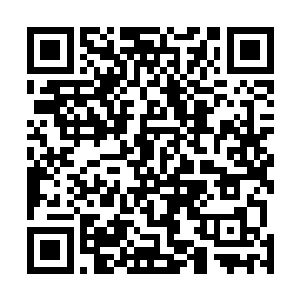 但是对于这等绝顶强者的传言却也多多少少的听说了一些二维码生成