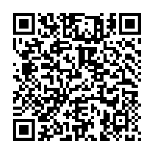 但是对于魔族那十个人尊初期巅峰和八个人尊初期还是造不成什么威胁二维码生成