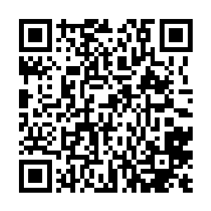 但是对我的感情并没有因为自身的成长有丝毫的减弱二维码生成