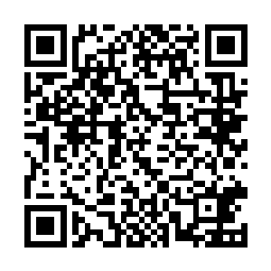 但是对挂着附近地区牌照的普通轿车基本都只是看看二维码生成