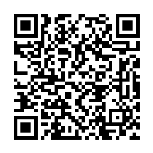 但是对杀人的工序手段以及时间的拿捏却熟悉无比二维码生成