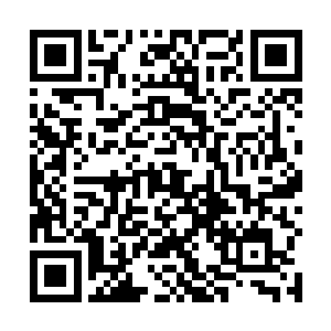 但是对江少游来说……这些高压电网却是最好的补品啊二维码生成