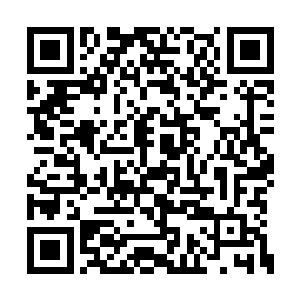但是寻常圣者要想对付起来也是非常艰难的事情二维码生成