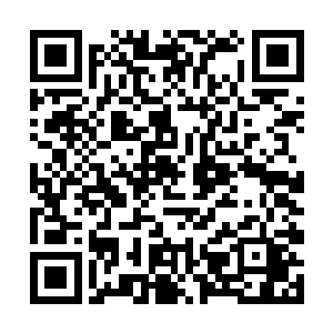 但是将家老爷子宁愿把那个犯错的孙子给驱逐出家门二维码生成