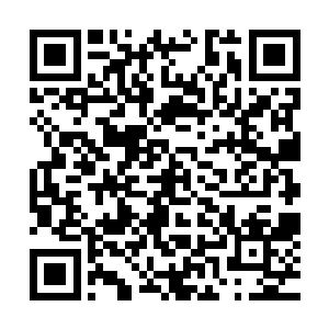 但是小伙子还是挺客气尊重的请陆为民到夏力行办公室里坐下二维码生成