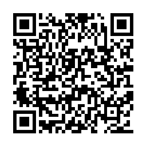 但是小石头也让所有人全都看到了他的暴力之处二维码生成