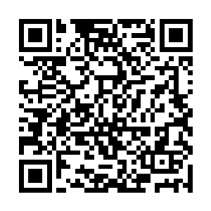 但是少女手中的长刀依旧保持着一个诡异的角度刺出二维码生成