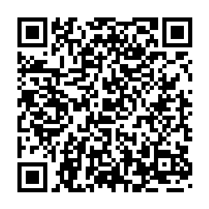 但是就他们给的那点儿仙晶和我从汇晶商行那里赢来的极品仙晶比起来二维码生成