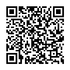 但是就在他手刚刚一抓住白静那白皙的脖子之时二维码生成