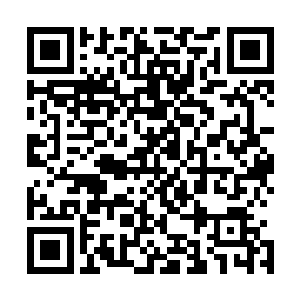 但是就是走走过场对于威廉的带来的利益却是非常的巨大的二维码生成