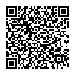 但是就是这样曾经勇敢而机敏的勇士听了听了凌菲的话高大的身体不由得晃了晃二维码生成