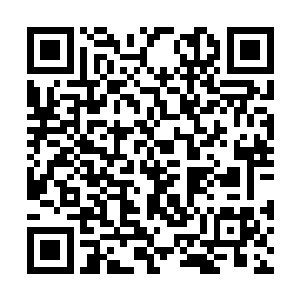 但是屋内二人说的话还是随着夜风跑进了她耳朵里二维码生成