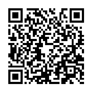 但是岛屿外围的第一第二两层防御装置全部失效了二维码生成