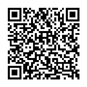 但是已经将破魂领域全部打入了他的精神之海了二维码生成