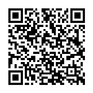 但是已经让曹刚和张存厚意识到一旦付天华归案二维码生成