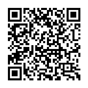 但是并不代表着赛提尔就可以对布鲁诺不屑一顾二维码生成