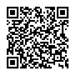 但是幸好……有了那个叫柯南的家伙的积分加入二维码生成