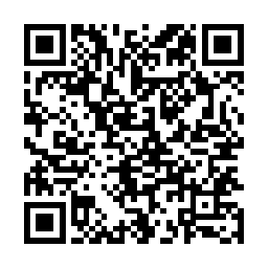 但是张铁来到46空中骑兵团的调令和背后的是否有人在主导二维码生成