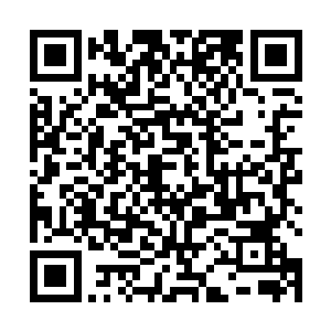 但是强大的圣者将周围所有可以离开的路径都给封锁了二维码生成