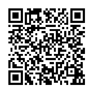 但是当两种同样拥有至高权威性的道法相碰撞时二维码生成