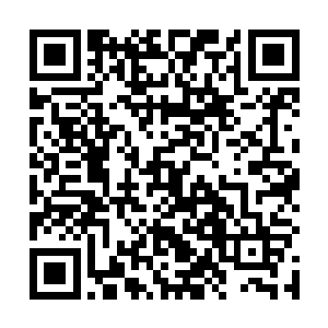但是当他们以为这两个人就是在收购一些低廉的材料是二维码生成