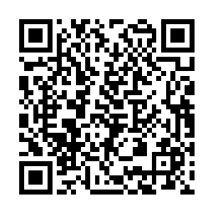 但是当他们的目光落在神情冷淡的赵雨华的脸上时二维码生成