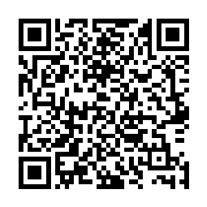 但是当他们看到这群小落分队的队员们扛着麻袋下去的时候二维码生成