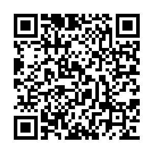 但是当他的目光在赵庄的领导干部中扫视一圈后二维码生成