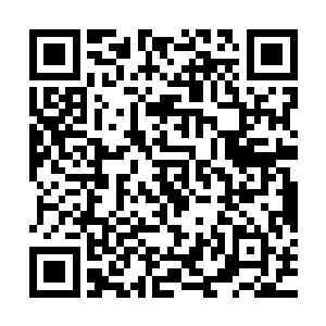 但是当他看到没有一个上元大陆的修士从白虎号上飞出来的时候二维码生成