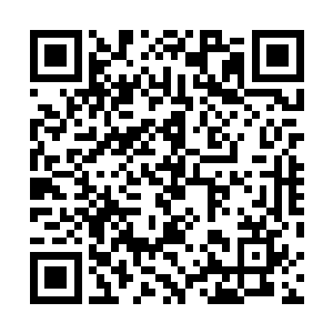 但是当他看到苏燕青半闭的美眸中流露出来的一抹娇羞时二维码生成