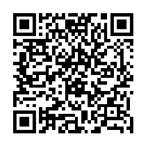 但是当她们抱着无法继续享受那种极致荣宠的生活的遗憾二维码生成