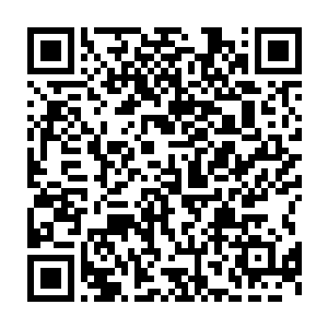 但是当她看到王雅君给自己拍照的时候脸上露出的那种天真自然的笑容二维码生成