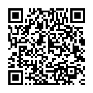 但是当赵纯良手中那张用圆珠笔写的字真的拍出一个亿的时候二维码生成