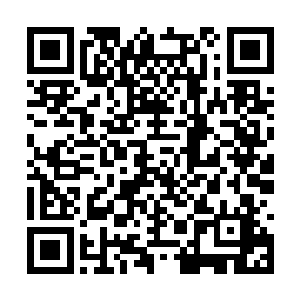 但是当这帮人知道三枪建设的幕后老板是赵长枪后二维码生成
